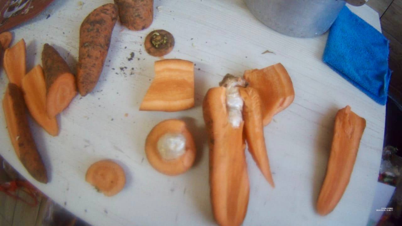 В самарскую колонию пытались пронести марихуану в моркови