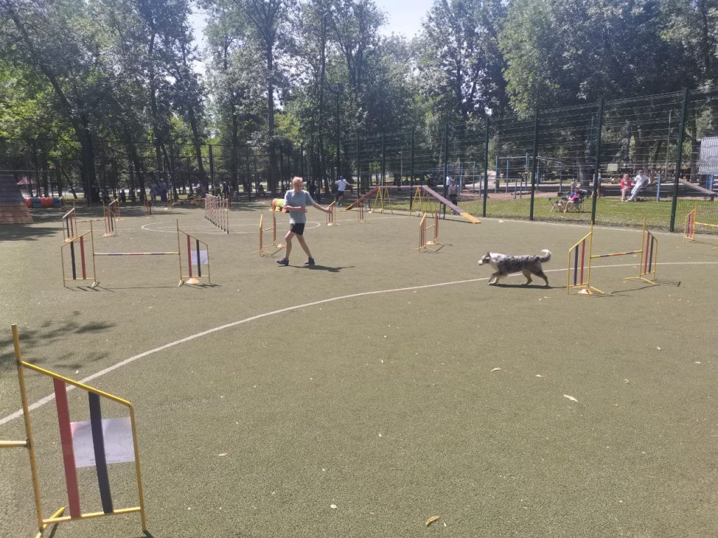 В Самаре проходят соревнования для собак
