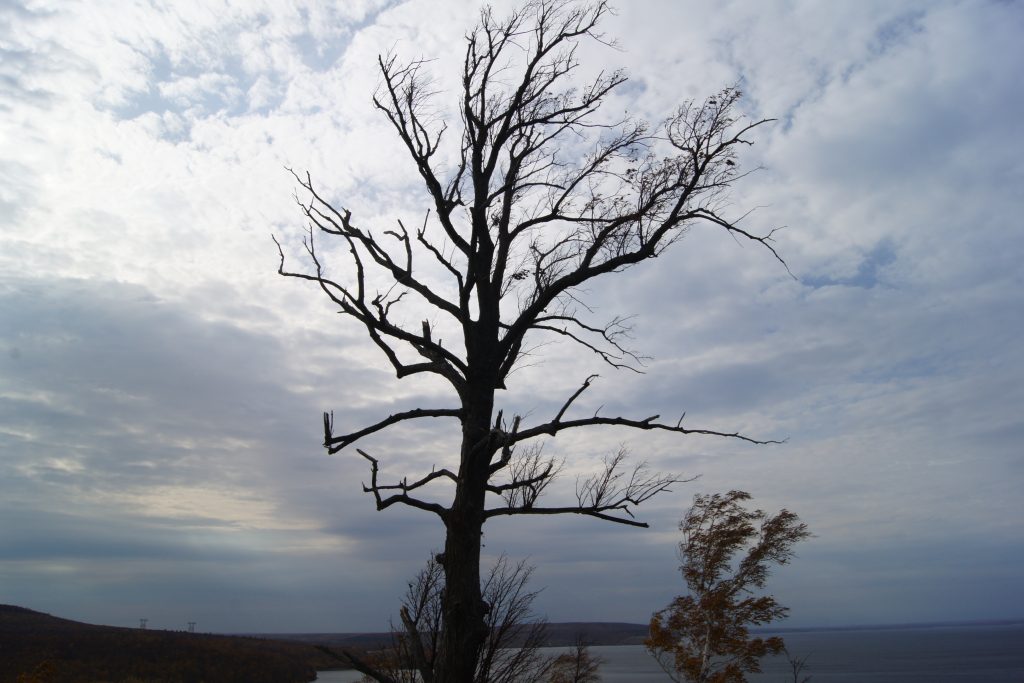 Опасную погоду прогнозируют синоптики в Самарской области