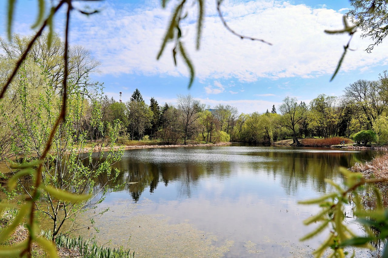 Народные приметы на 19 апреля: предсказания погоды, что можно делать и нельзя