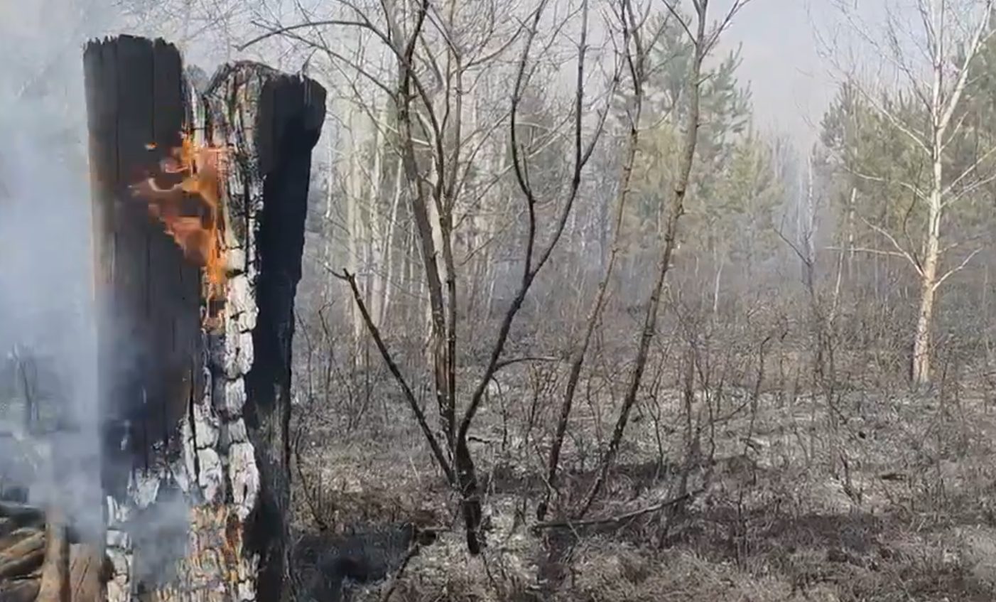 Лес загорелся в Самарской области после падения обломков БПЛА: видео