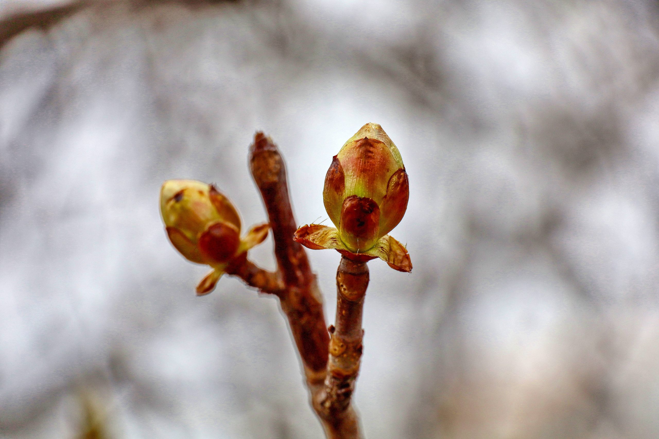Народные приметы на 24 апреля: предсказания погоды, что можно делать и нельзя