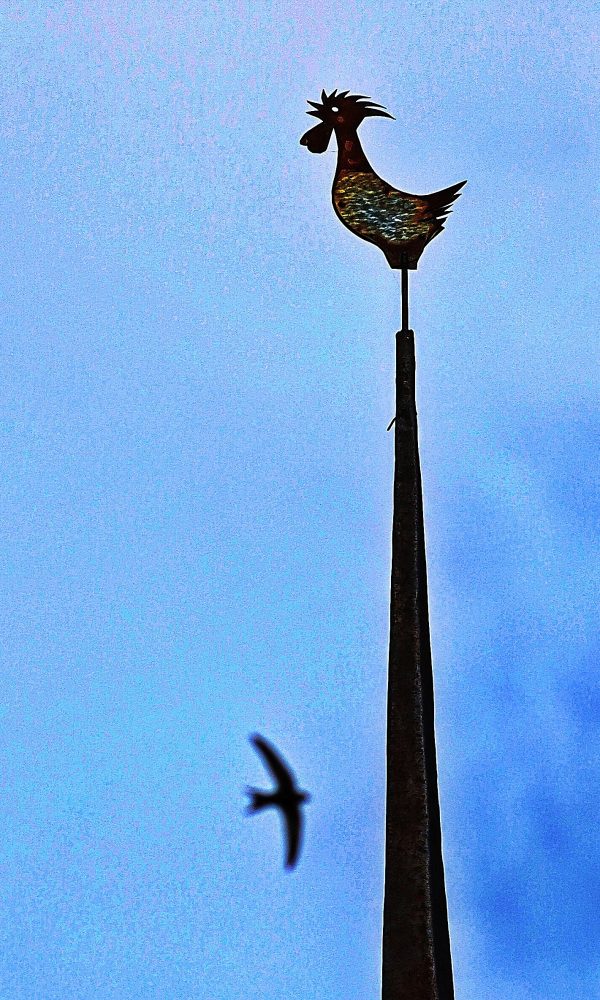 Processed by: Helicon Filter;